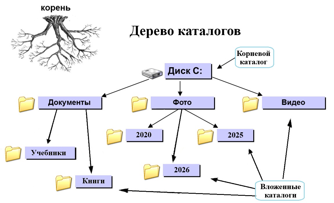 Дерево каталогов